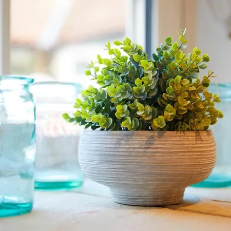 The Old Tackroom, Luxury Barn